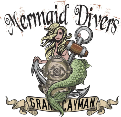 Nicholas Harvey Travel Author Mermaid Divers